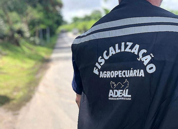 Edital concurso ADEAL publicado: são 20 vagas + 24 CR; R$ 7,3 mil!